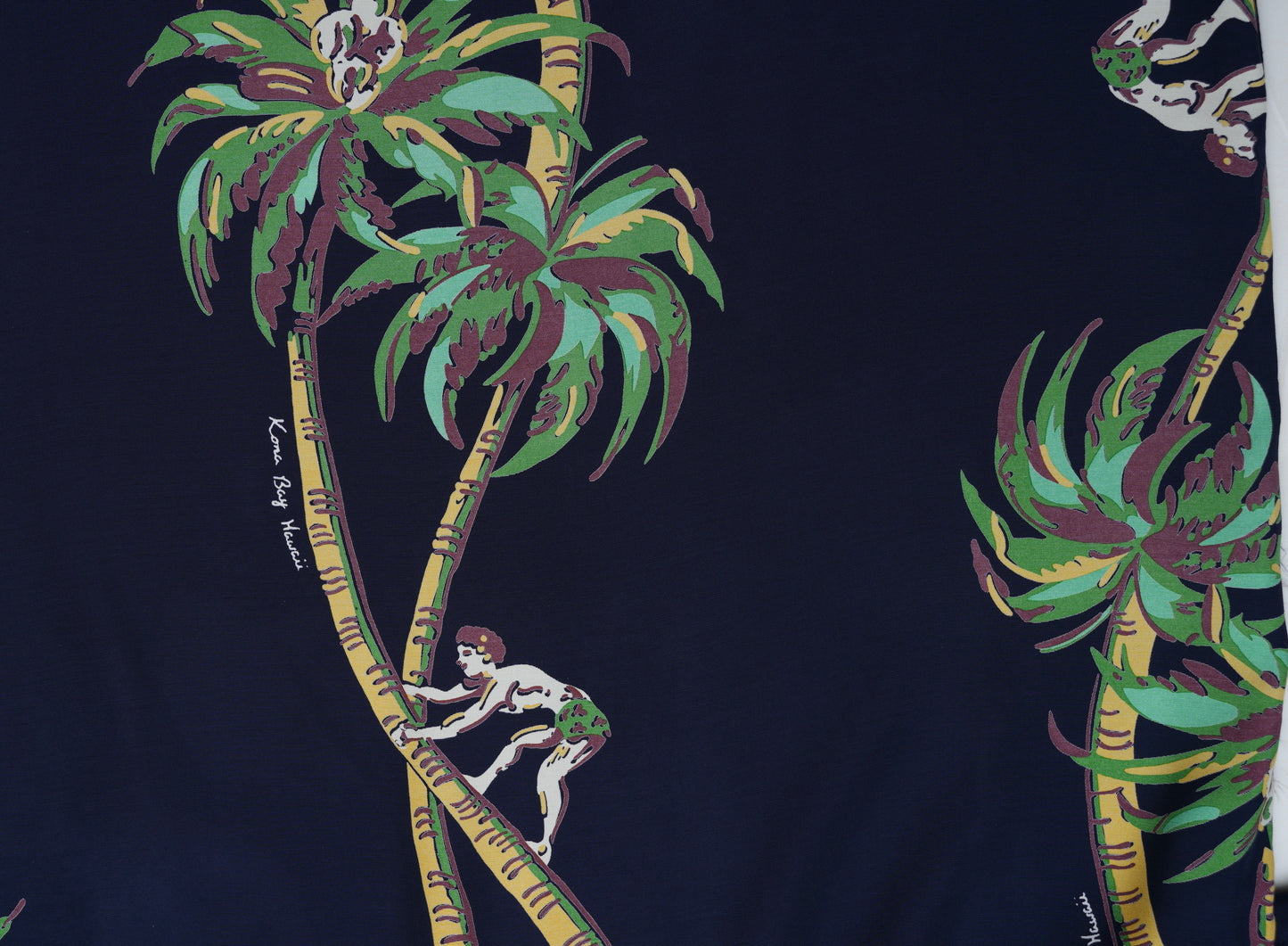 Palm Tree Climber Navy