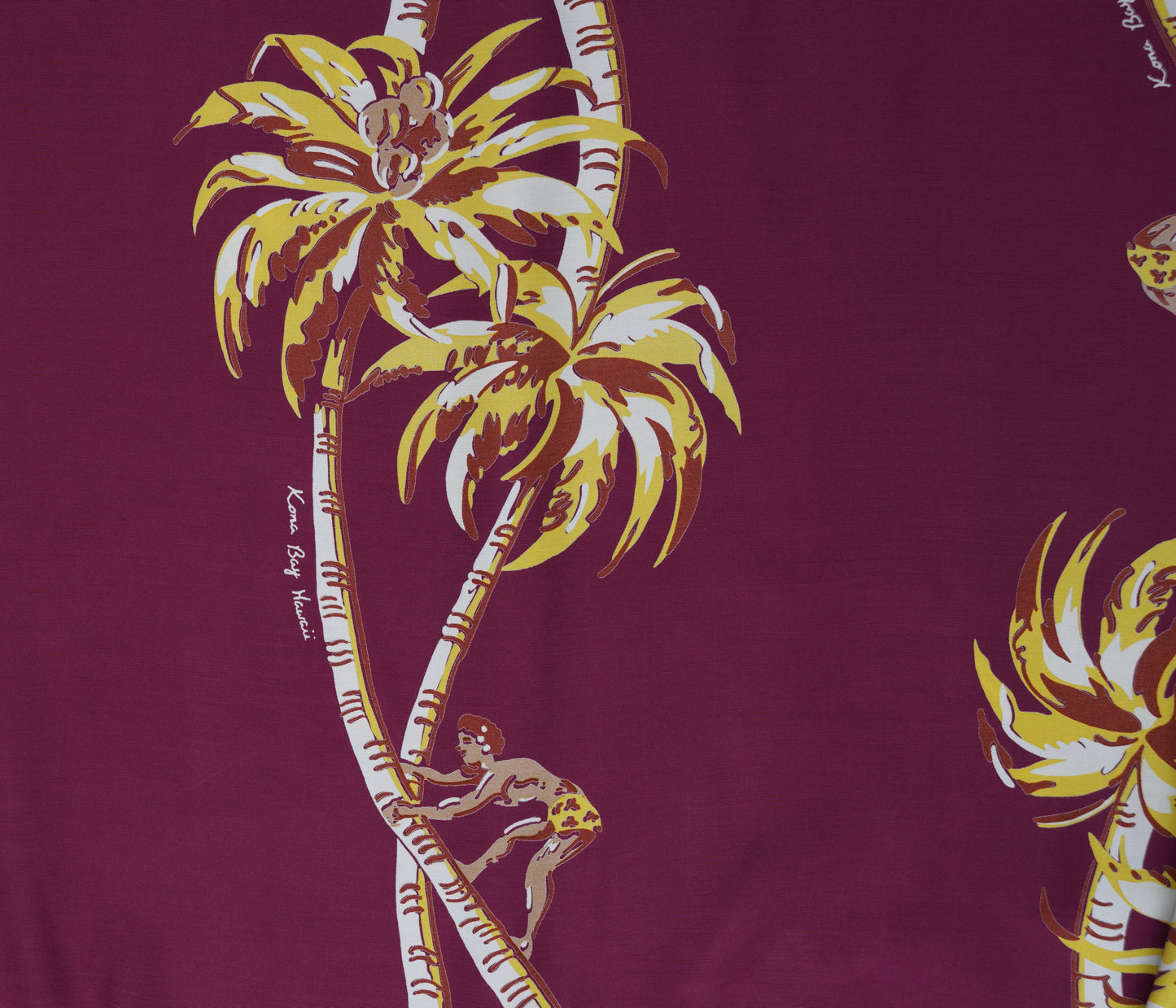 Palm Tree Climber Burgundy